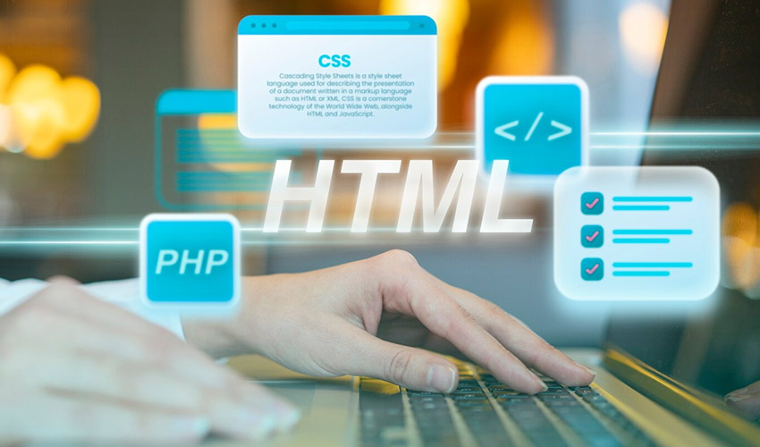 Web Development